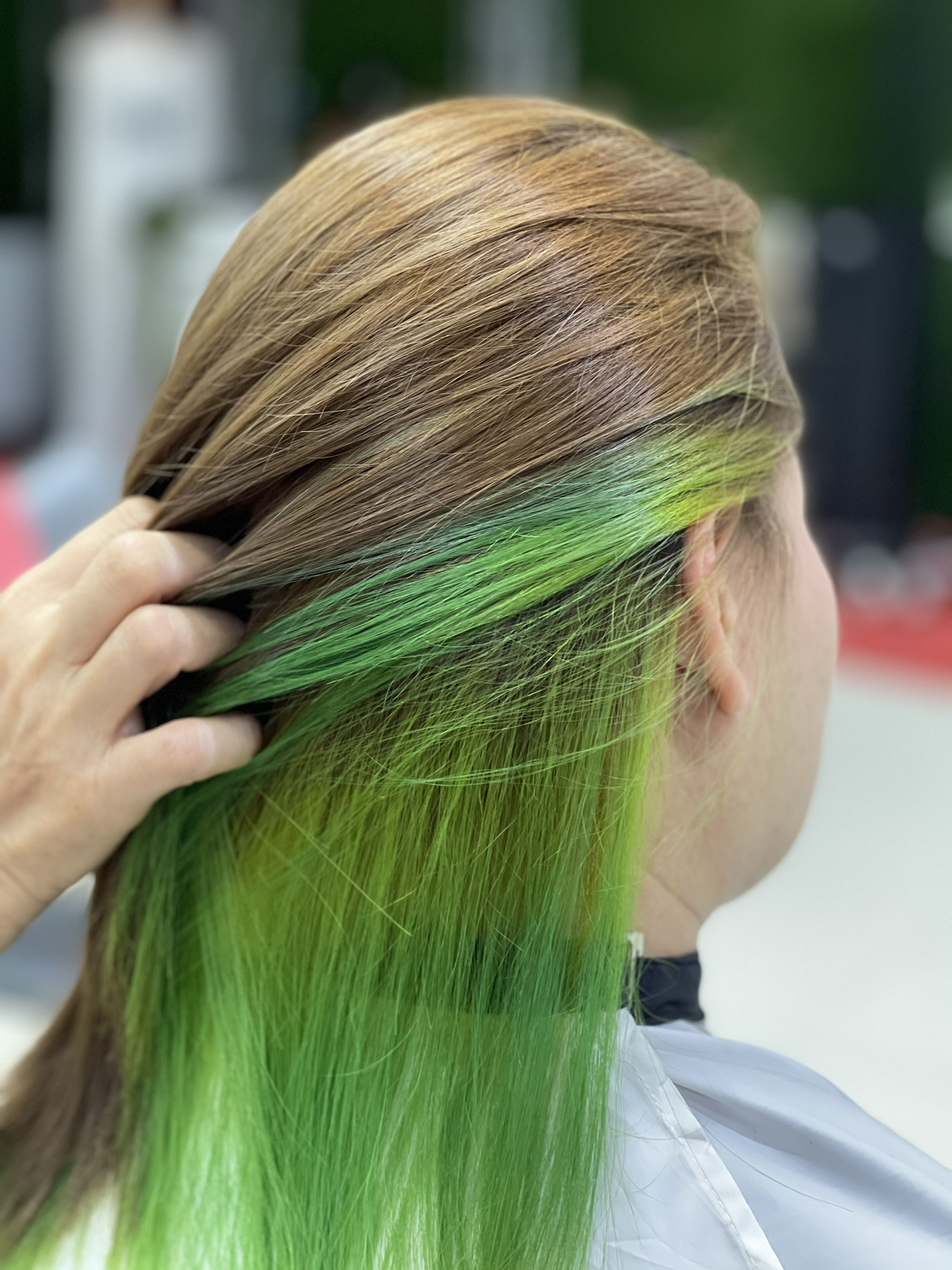 บทความ enie salon